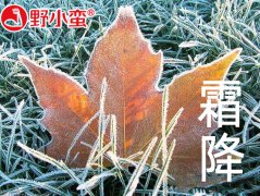 <b>霜降养生，野小蛮身高管理中心提醒您注意防寒保暖</b>