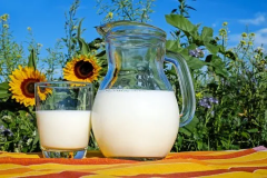 <b>​牛奶喝不对等于白喝？关于喝牛奶的五个误区，你知道吗？</b>